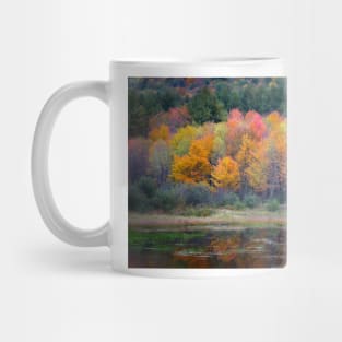 Burst of Fall Mug